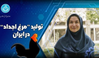 Kowsar Intelligent Research Center of Tehran University's Endeavor for Self-Sufficiency in Producing Iranian Parent Stock Chickens