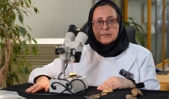 University of Tehran Biological Anthropology Laboratory: Reconstructing Past Human Life Through Archaeological Remains