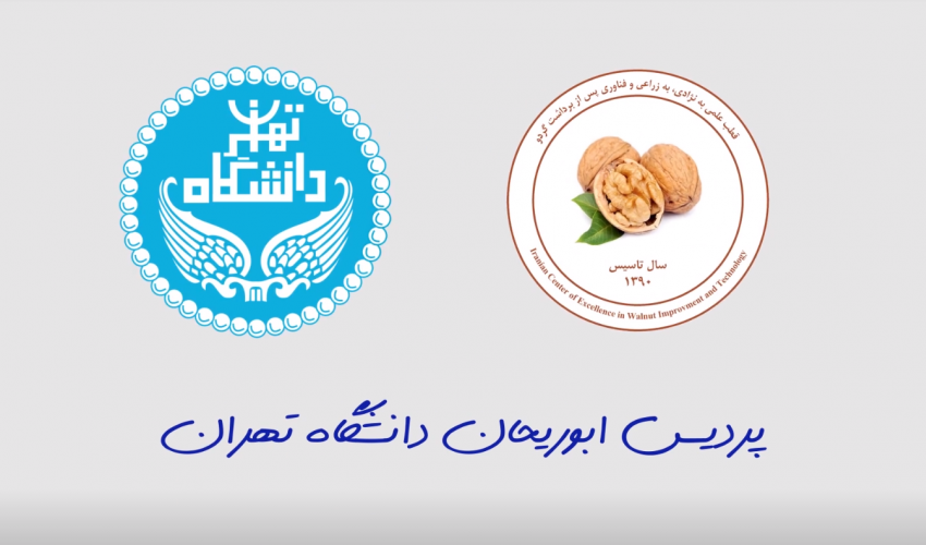 قطب علمی بهنژادی، بهزراعی و فناوری پس از برداشت گردو