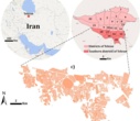 محدوده مورد مطالعه پهنه جنوب تهران