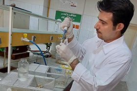 کاهش هزینه‌های صنعت طیور با واکسن نوترکیب ساخت محقق دانشگاه تهران