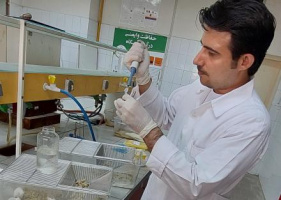 کاهش هزینه‌های صنعت طیور با واکسن نوترکیب ساخت محقق دانشگاه تهران